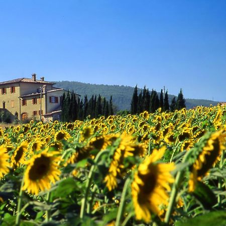 Agriturismo Palazzo Bandino - Wine Cellar, On Reservation Restaurant And Spa 基安奇安诺泰尔梅 外观 照片