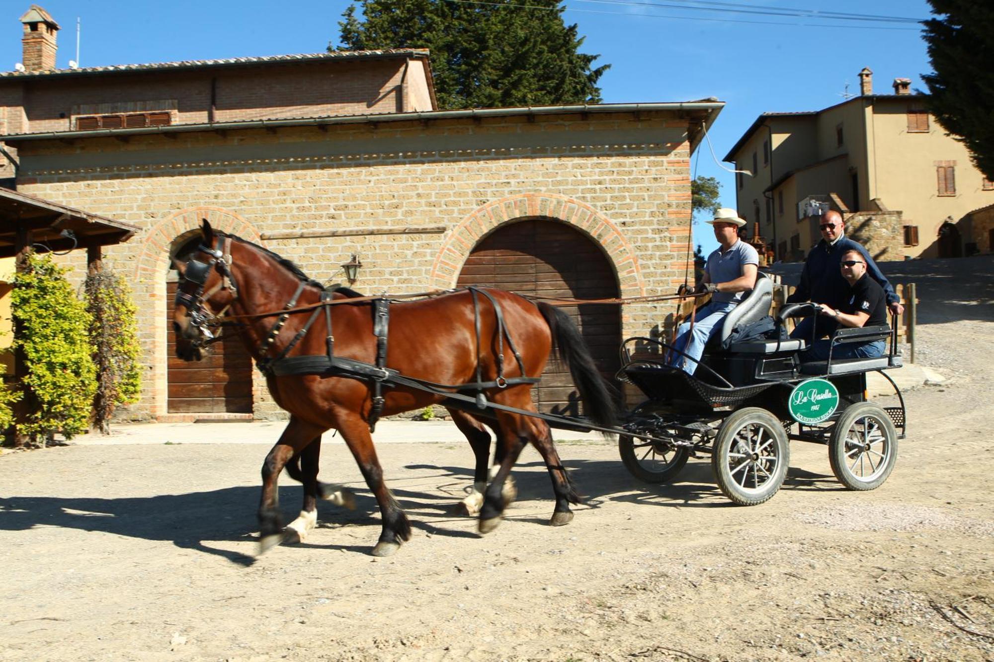 Agriturismo Palazzo Bandino - Wine Cellar, On Reservation Restaurant And Spa 基安奇安诺泰尔梅 外观 照片