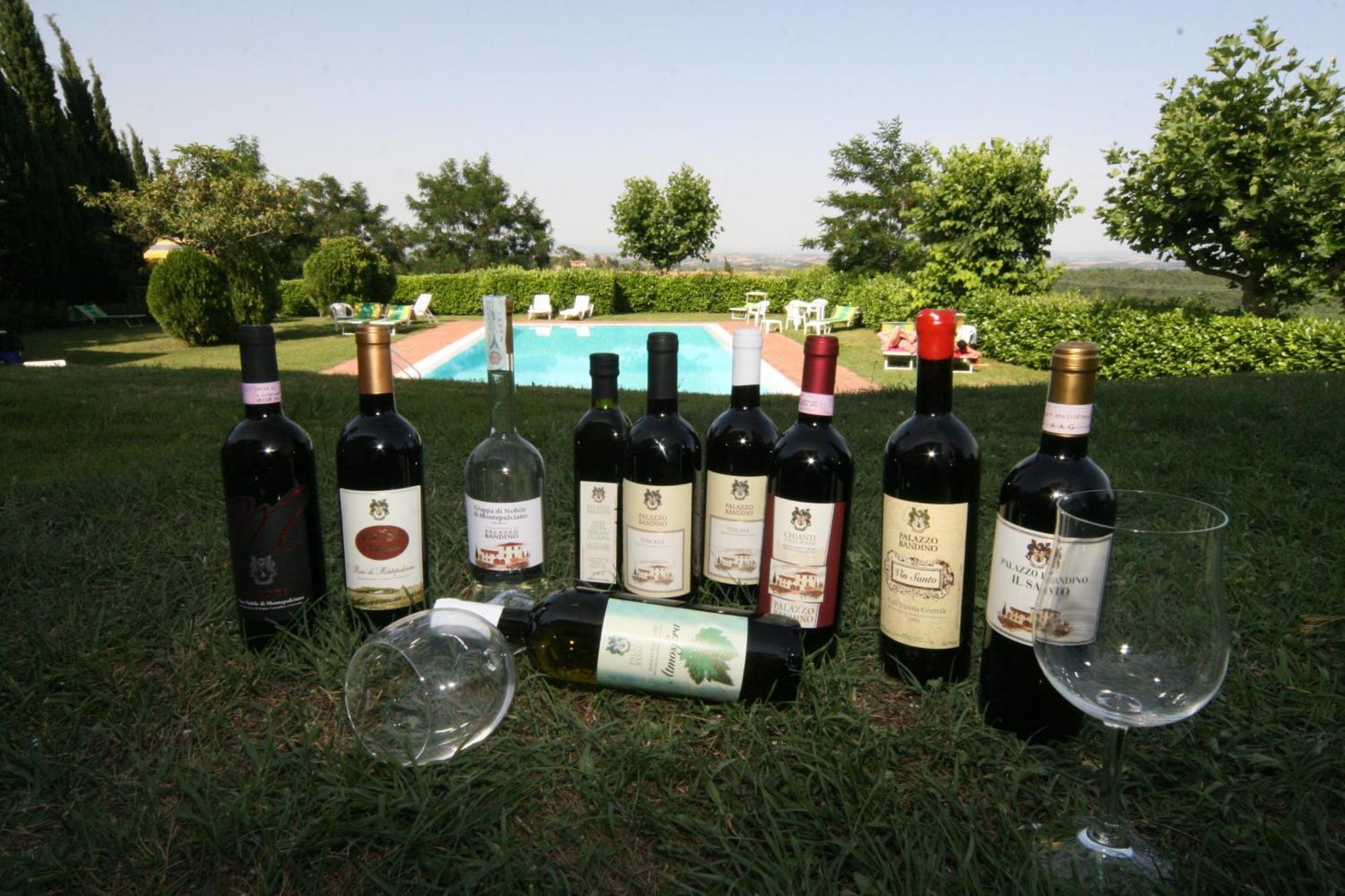 Agriturismo Palazzo Bandino - Wine Cellar, On Reservation Restaurant And Spa 基安奇安诺泰尔梅 外观 照片